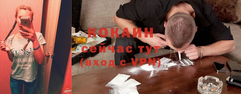 Cocaine 99%  Лодейное Поле 